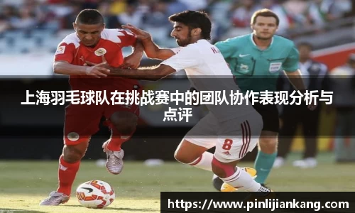 上海羽毛球队在挑战赛中的团队协作表现分析与点评